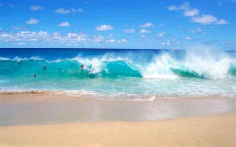 beach stock video|Beach Waves Videos, Download The BEST Free 4k Stock Video。